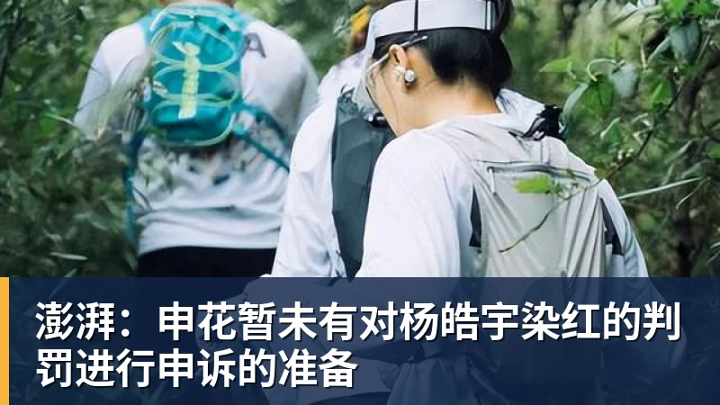 澎湃：申花暂未有对杨皓宇染红的判罚进行申诉的准备